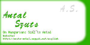 antal szuts business card